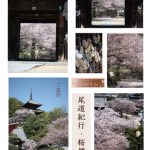 お花見便り２