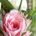 新年のご挨拶