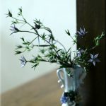 イブニング☆スター