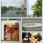 ネコライオン*